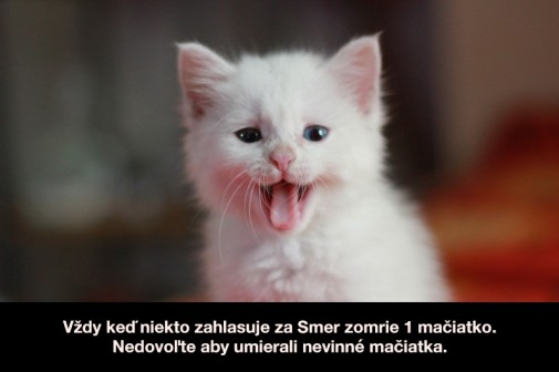 Črtá sa genocída